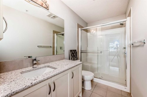 215-20 Seton Park, Calgary, AB - Indoor Photo Showing Bathroom