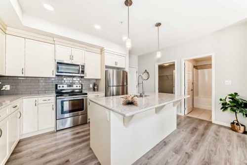 215-20 Seton Park, Calgary, AB - Indoor Photo Showing Kitchen With Upgraded Kitchen