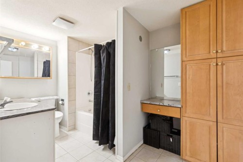 95 Mchugh Road Ne, Calgary, AB - Indoor Photo Showing Bathroom