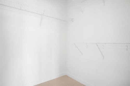 277 Dawson Way, Chestermere, AB - Indoor With Storage