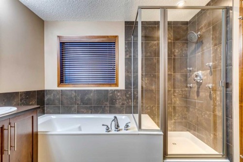 676 Auburn Bay Boulevard Se, Calgary, AB - Indoor Photo Showing Bathroom