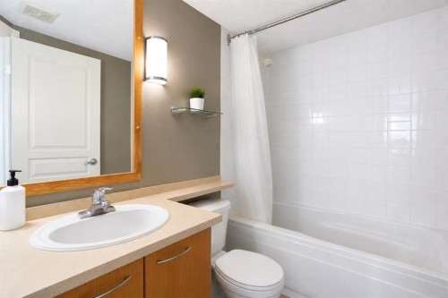 216-5115 Richard Road Sw, Calgary, AB - Indoor Photo Showing Bathroom