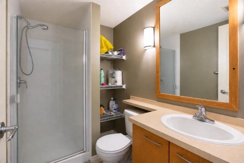 216-5115 Richard Road Sw, Calgary, AB - Indoor Photo Showing Bathroom