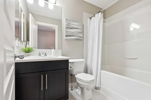 420 Mckenzie Towne Square Se, Calgary, AB - Indoor Photo Showing Bathroom