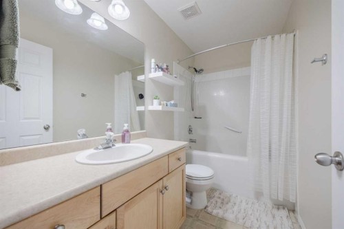 322 Mckenzie Towne Link Se, Calgary, AB - Indoor Photo Showing Bathroom