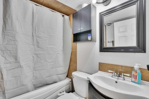 4 Martin Crossing Bay Ne, Calgary, AB - Indoor Photo Showing Bathroom