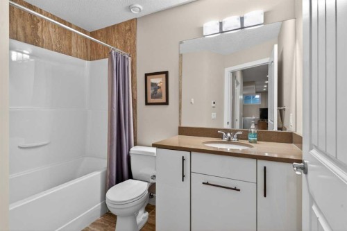 4619 84 Street Nw, Calgary, AB - Indoor Photo Showing Bathroom