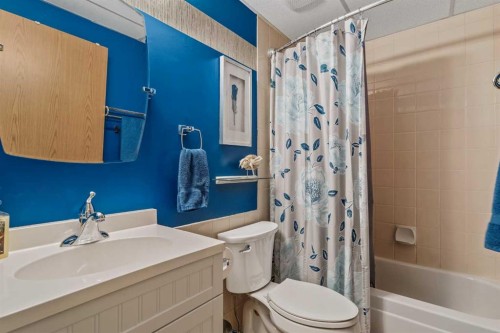 60 Hunterhorn Crescent Ne, Calgary, AB - Indoor Photo Showing Bathroom