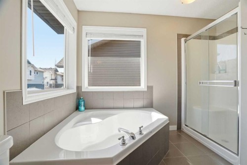 202 New Brighton Manor Se, Calgary, AB - Indoor Photo Showing Bathroom