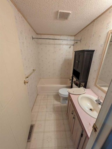 312 Christian Avenue, Standard, AB - Indoor Photo Showing Bathroom