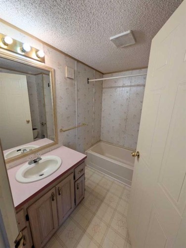312 Christian Avenue, Standard, AB - Indoor Photo Showing Bathroom