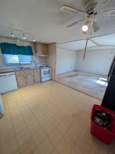 312 Christian Avenue, Standard, AB - Indoor Photo Showing Kitchen With Double Sink