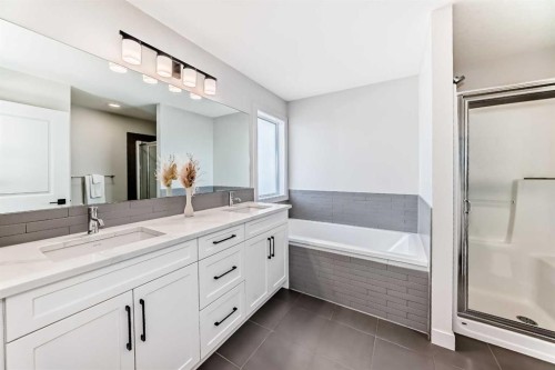 81 Willow Court, Cochrane, AB - Indoor Photo Showing Bathroom
