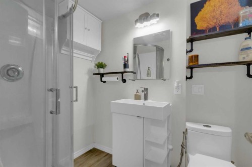 60 Dalhurst Way Nw, Calgary, AB - Indoor Photo Showing Bathroom