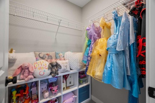 135 Silver Spruce Grove Sw, Calgary, AB - Indoor With Storage