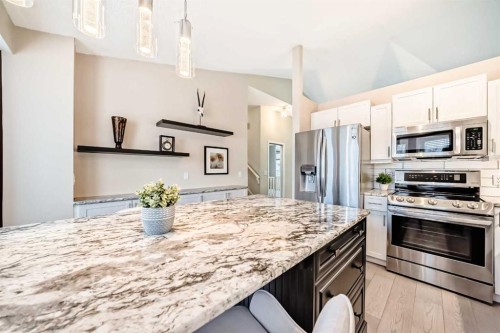 19 Sunlake Gardens Se, Calgary, AB - Indoor Photo Showing Kitchen With Upgraded Kitchen