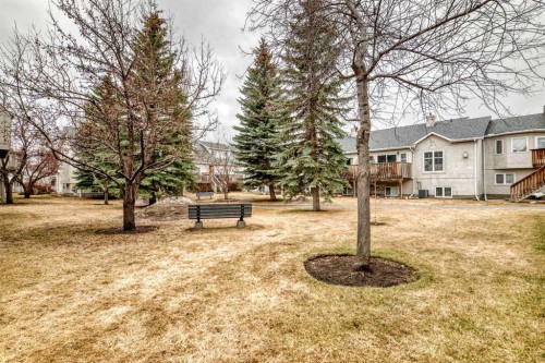 19 Sunlake Gardens Se, Calgary, AB - Outdoor