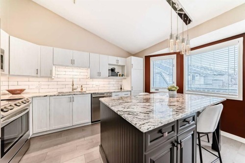 19 Sunlake Gardens Se, Calgary, AB - Indoor Photo Showing Kitchen With Upgraded Kitchen