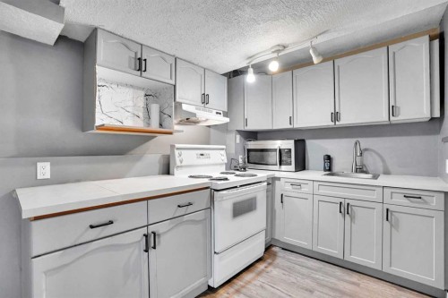 52 Pennsburg Way Se, Calgary, AB - Indoor Photo Showing Kitchen