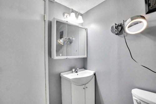 52 Pennsburg Way Se, Calgary, AB - Indoor Photo Showing Bathroom