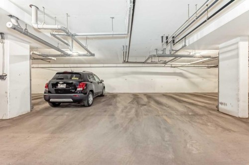 1303-33 Carringham Gate Nw, Calgary, AB - Indoor Photo Showing Garage
