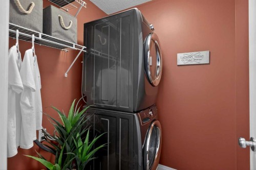 3513 Douglas Woods Heights Se, Calgary, AB - Indoor Photo Showing Laundry Room
