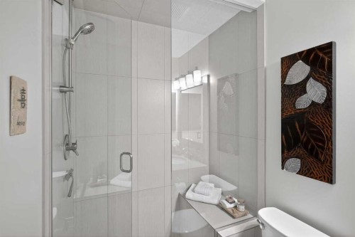 3513 Douglas Woods Heights Se, Calgary, AB - Indoor Photo Showing Bathroom
