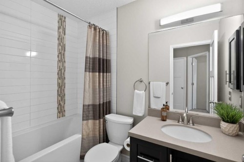 3513 Douglas Woods Heights Se, Calgary, AB - Indoor Photo Showing Bathroom