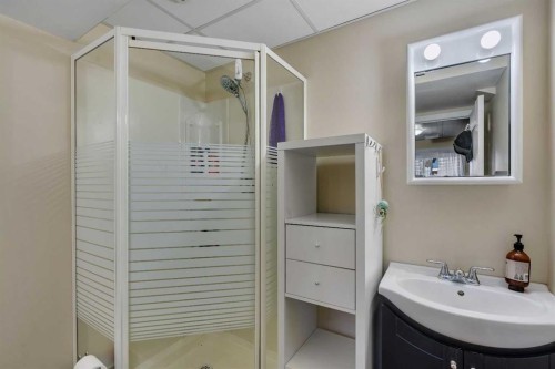 20 Ogmoor Crescent Se, Calgary, AB - Indoor Photo Showing Bathroom
