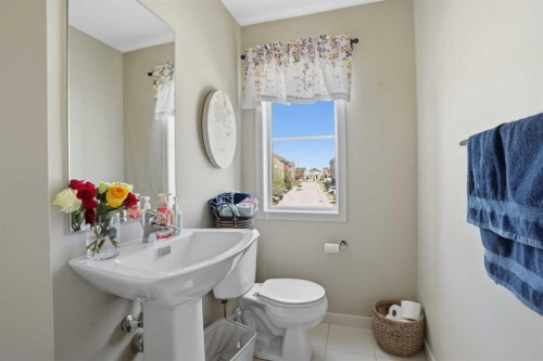 227 Copperpond Row Se, Calgary, AB - Indoor Photo Showing Bathroom