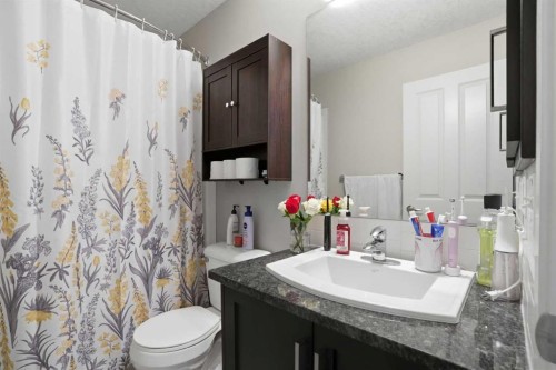 227 Copperpond Row Se, Calgary, AB - Indoor Photo Showing Bathroom