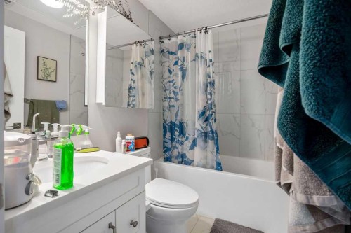 2226 Westmount Road Nw, Calgary, AB - Indoor Photo Showing Bathroom
