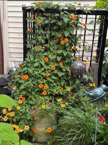 211 Prestwick Heights Se, Calgary, AB - Outdoor