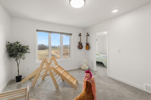 1041 Iron Landing Way, Crossfield, AB - Indoor Photo Showing Other Room