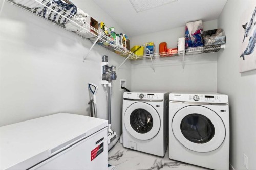 2313-220 Seton Grove Se, Calgary, AB - Indoor Photo Showing Laundry Room