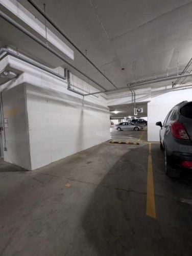 2313-220 Seton Grove Se, Calgary, AB - Indoor Photo Showing Garage