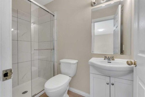 61 Martindale Boulevard Ne, Calgary, AB - Indoor Photo Showing Bathroom