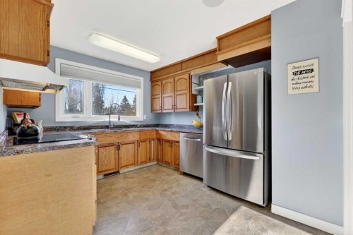 316 Wascana Crescent Se, Calgary, AB - Indoor Photo Showing Kitchen With Double Sink