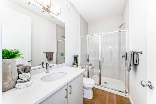 64 Creekside Path Sw, Calgary, AB - Indoor Photo Showing Bathroom