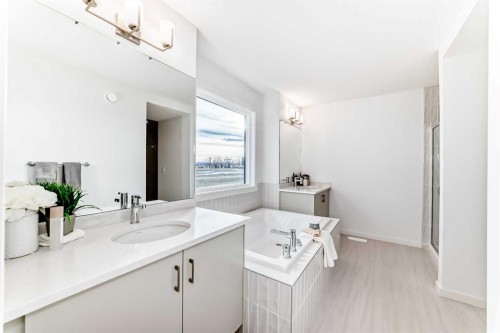 64 Creekside Path Sw, Calgary, AB - Indoor Photo Showing Bathroom