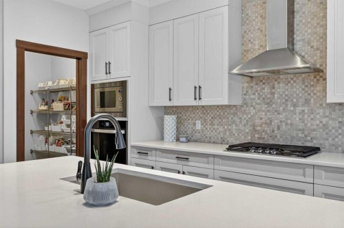 19 Cranbrook Crescent Se, Calgary, AB - Indoor Photo Showing Kitchen With Upgraded Kitchen