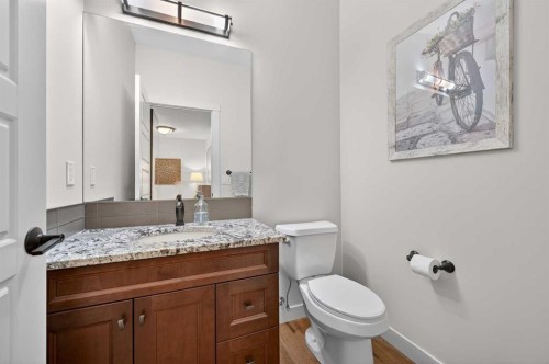 19 Cranbrook Crescent Se, Calgary, AB - Indoor Photo Showing Bathroom