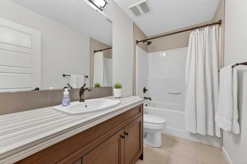 19 Cranbrook Crescent Se, Calgary, AB - Indoor Photo Showing Bathroom
