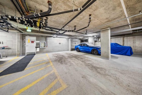 3402-3402 Hawksbrow Point Nw, Calgary, AB - Indoor Photo Showing Garage