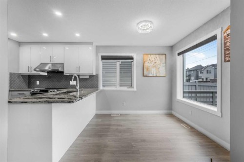 31 Saddleback Way Ne, Calgary, AB - Indoor Photo Showing Kitchen With Upgraded Kitchen