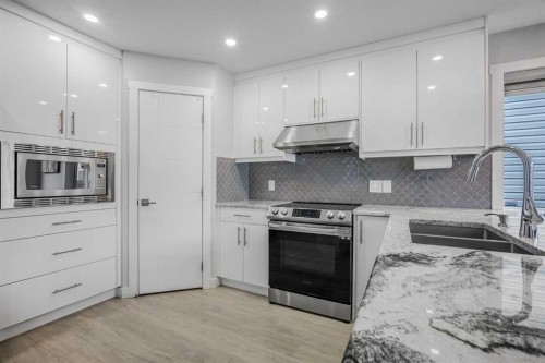 31 Saddleback Way Ne, Calgary, AB - Indoor Photo Showing Kitchen With Double Sink With Upgraded Kitchen
