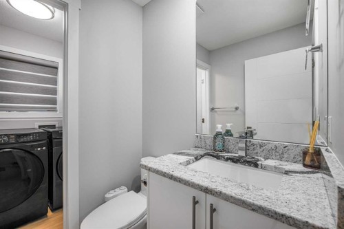 31 Saddleback Way Ne, Calgary, AB - Indoor Photo Showing Laundry Room