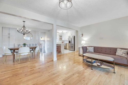 48 Waterloo Drive Sw, Calgary, AB - Indoor Photo Showing Living Room