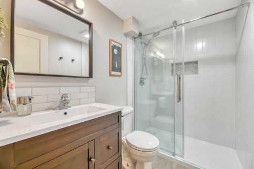 48 Waterloo Drive Sw, Calgary, AB - Indoor Photo Showing Bathroom
