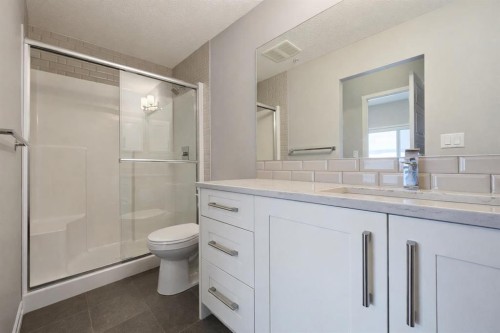 109-4150 Seton Drive Se, Calgary, AB - Indoor Photo Showing Bathroom